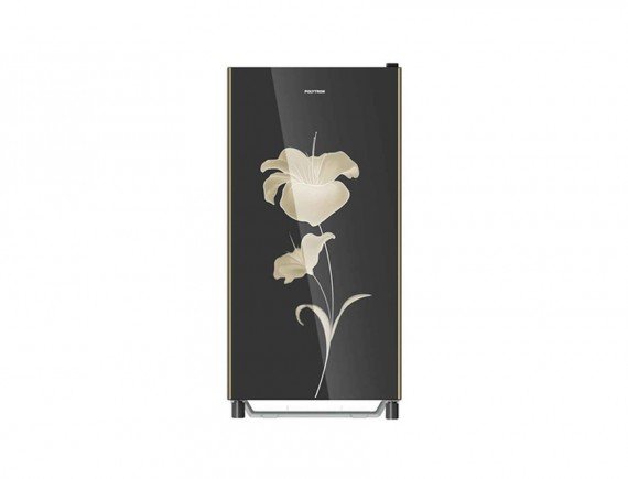 POLYTRON - ONE DOOR REFRIGERATOR PRA17GOB