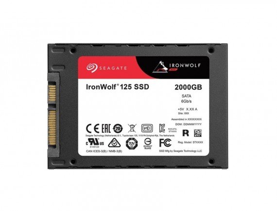 SEAGATE IRONWOLF125 + rescue 2.5