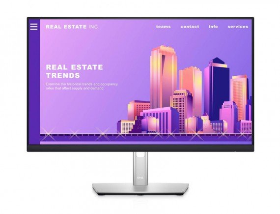 Dell Monitor P2422H