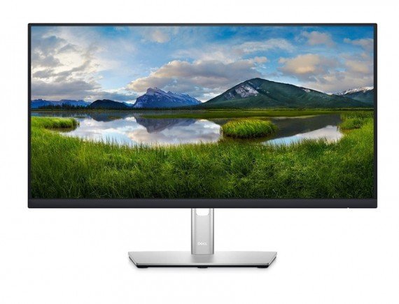 Dell Monitor P2422H