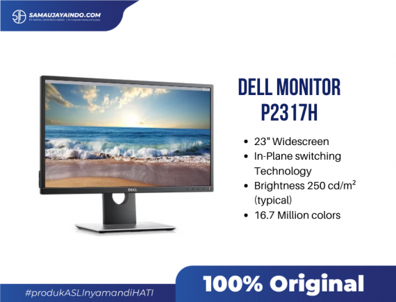 Dell Monitor P2317H 23inch 