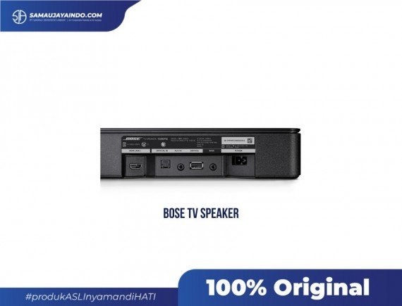 BOSE TV Speaker