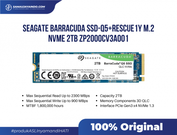 SEAGATE BARRACUDA SSD-Q5+Rescue1y M.2 NVME 2TB ZP2000CV3A001